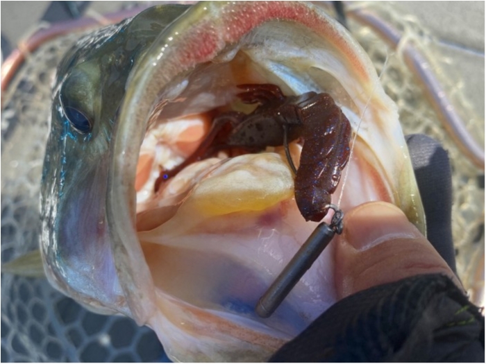 truth ブログ写真 2020/03/21