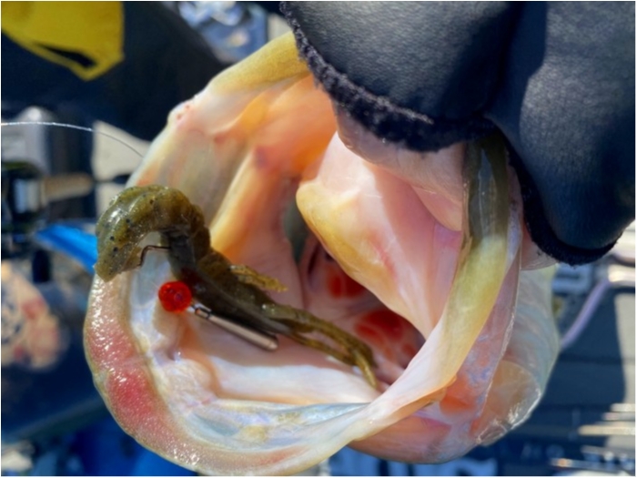 truth ブログ写真 2020/03/23