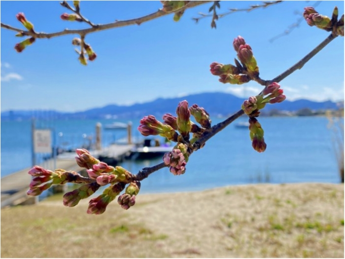 truth ブログ写真 2020/03/23