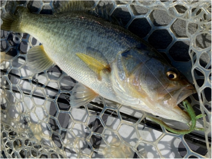 truth ブログ写真 2020/03/26