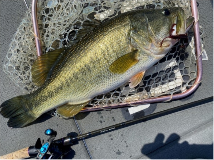 truth ブログ写真 2020/03/26