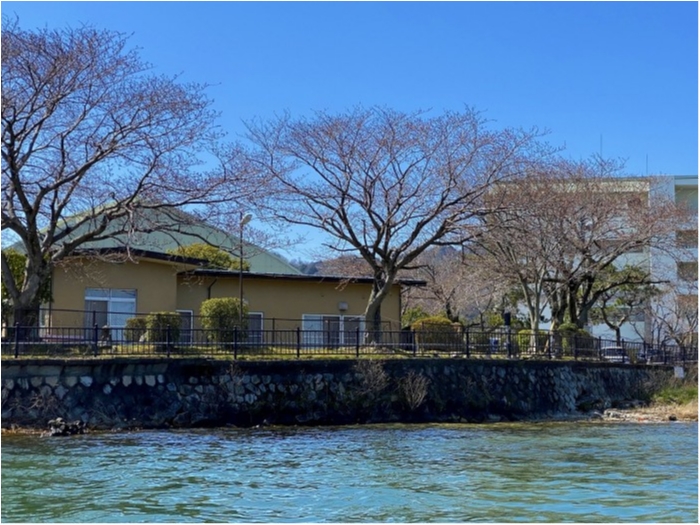 truth ブログ写真 2020/03/26