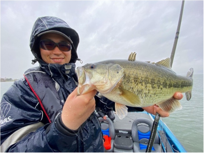 truth  ブログ写真 2020/04/01