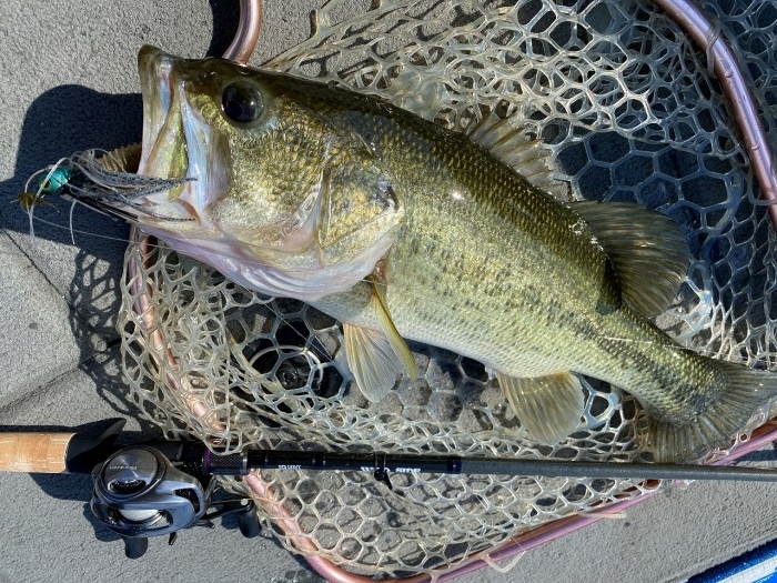 truth  ブログ写真 2020/04/06