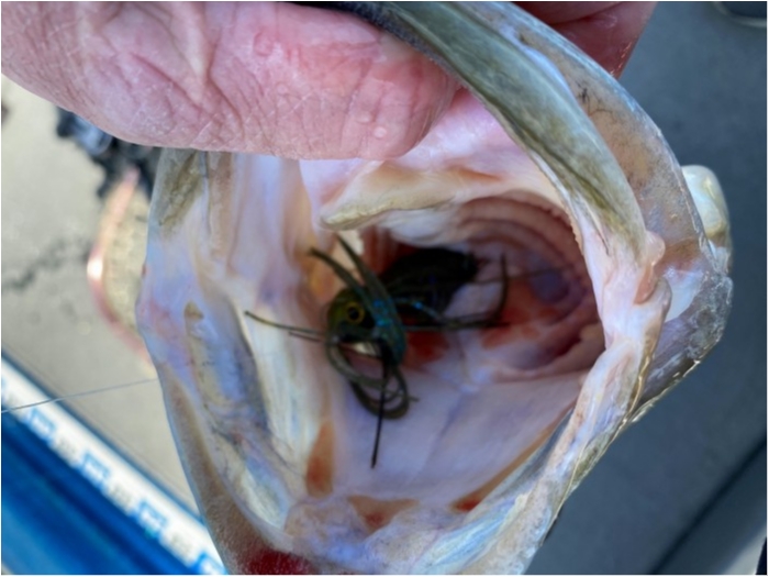 truth  ブログ写真 2020/04/06