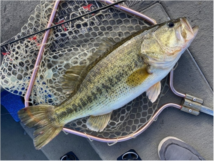 truth  ブログ写真 2020/05/19