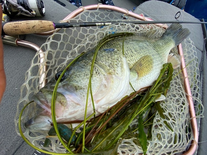 truth  ブログ写真 2020/05/19