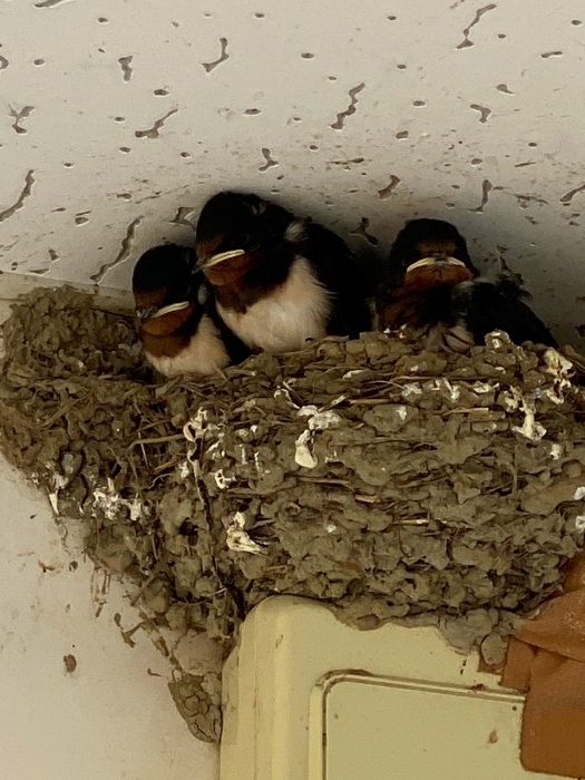 truth  ブログ写真 2020/06/03