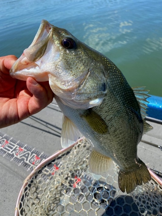 truth  ブログ写真 2020/06/03