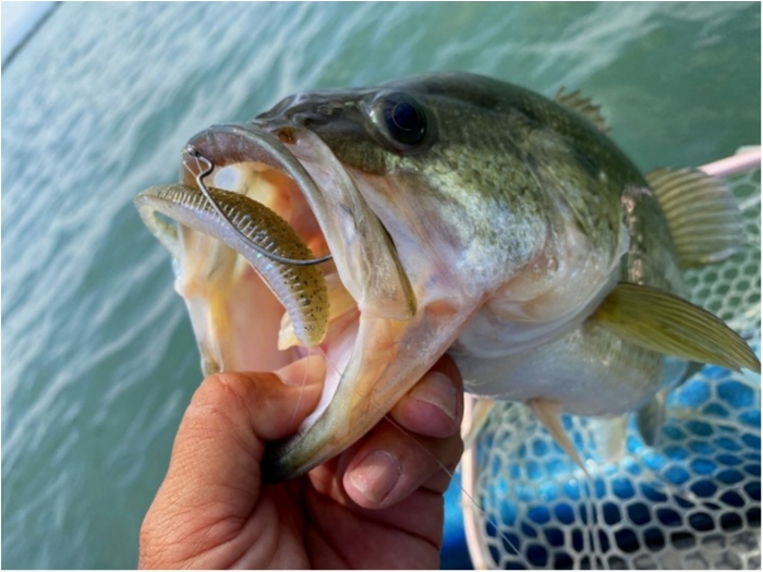 truth  ブログ写真 2020/06/03