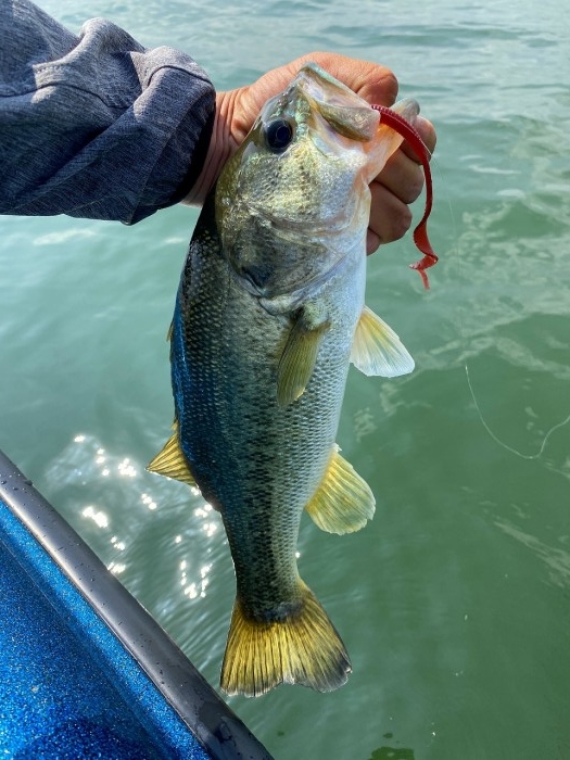 truth  ブログ写真 2020/06/03