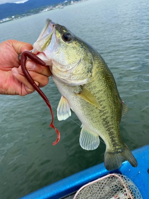 truth  ブログ写真 2020/06/03