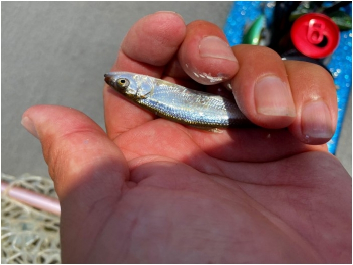 truth  ブログ写真 2020/06/03