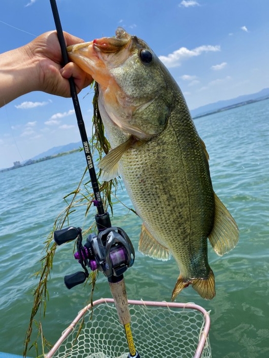 truth  ブログ写真 2020/06/03