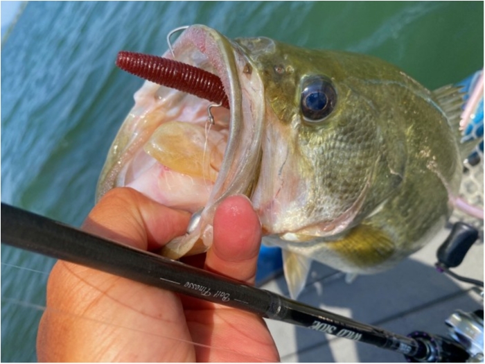 truth  ブログ写真 2020/06/03