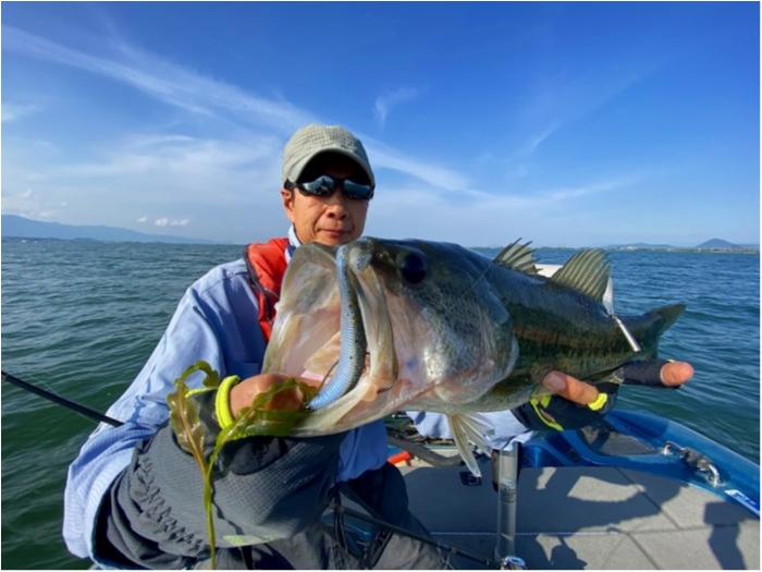 truth  ブログ写真 2020/06/03