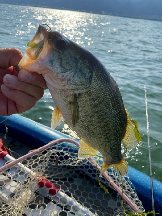 truth  ブログ写真 2020/06/03