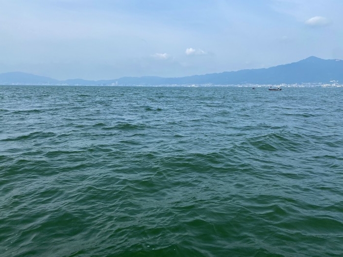 truth  ブログ写真 2020/06/05