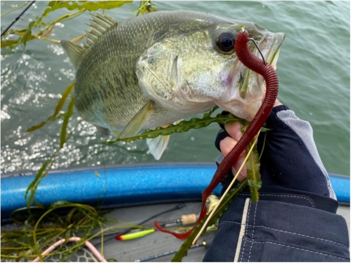 truth  ブログ写真 2020/06/05