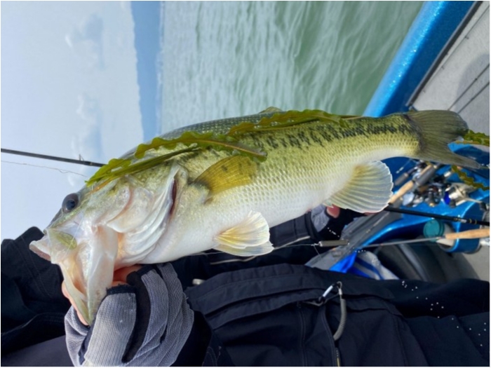 truth  ブログ写真 2020/06/05