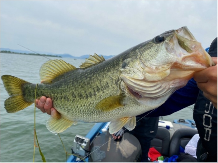 truth  ブログ写真 2020/06/05