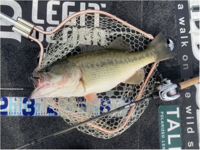 truth ブログ写真 2023/02/21