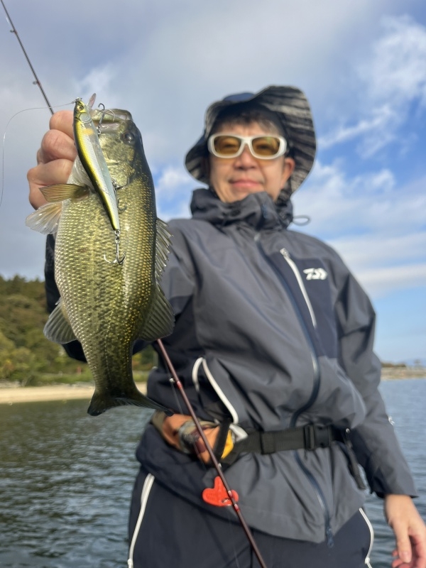 11月17日大熊ガイド「穏やかな湖面で入れ喰い継続!!、レギュラーサイズ中心に三桁モード!!」