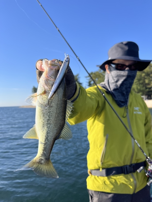 11月15日大熊ガイド「秋晴れのハイライトなコンディションでレギュラーサイズ多数!!」