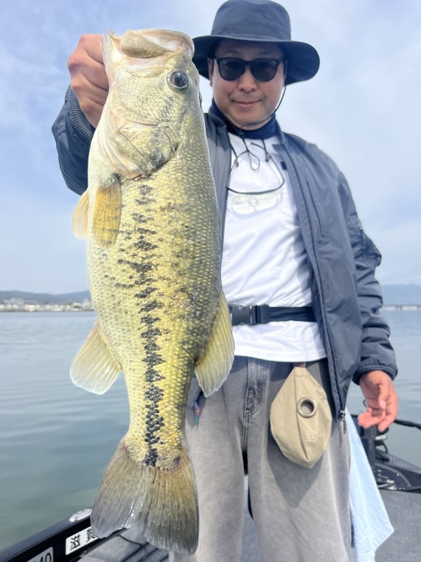 4月17日大熊ガイド「水温上昇でバイト数up!!、50up他グッドサイズ＆レギュラーサイズ」