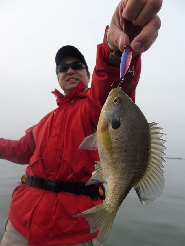 truth okuma ブログ写真 2016/04/10