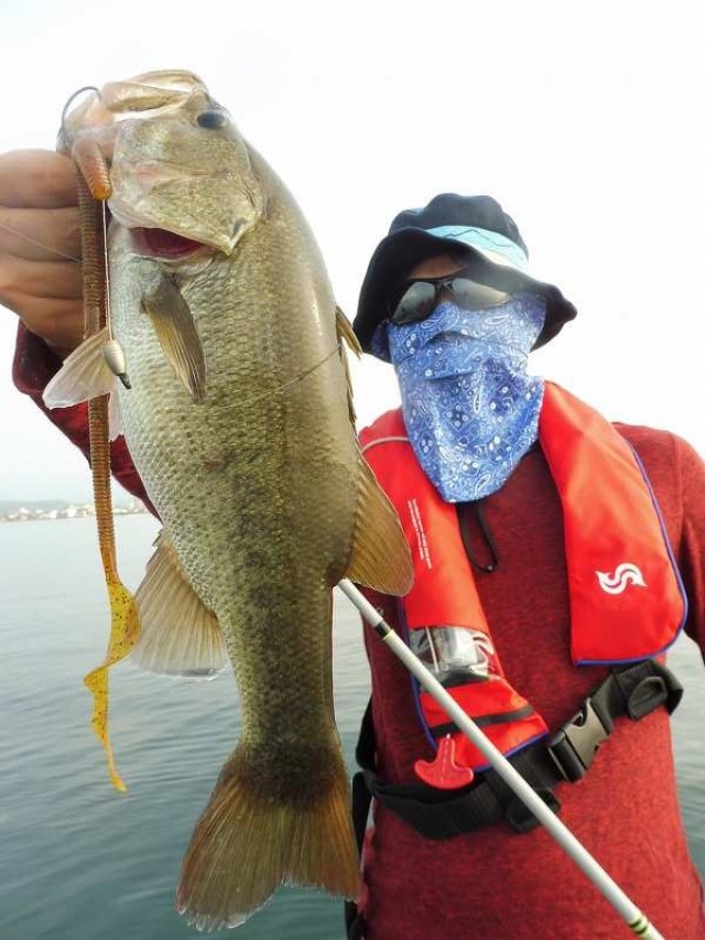 truth okuma ブログ写真 2016/08/03