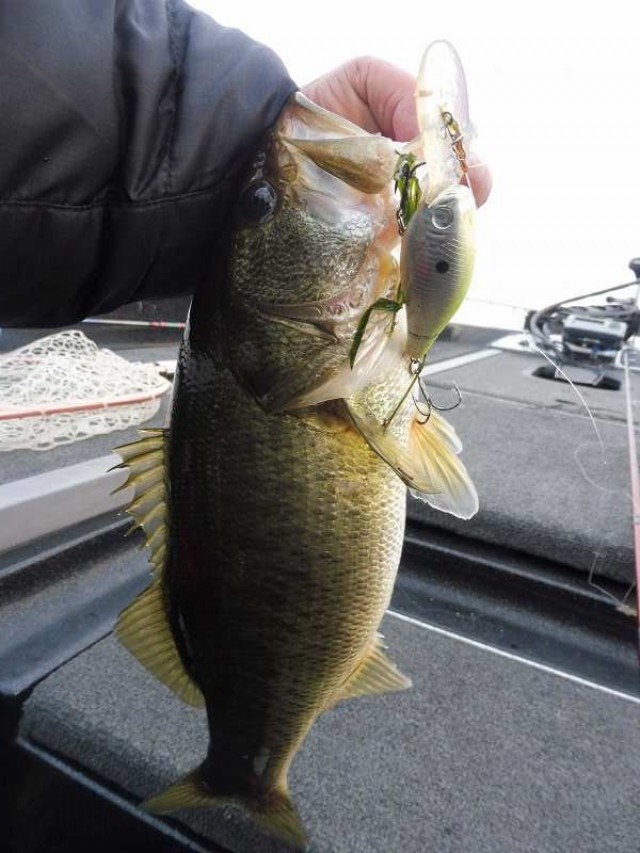 truth okuma ブログ写真 2016/12/09