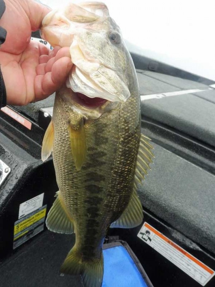 truth  ブログ写真 2017/04/11