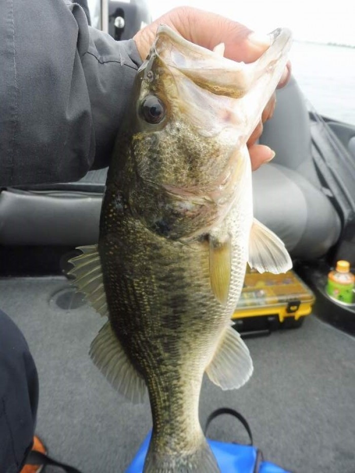 truth  ブログ写真 2017/04/26