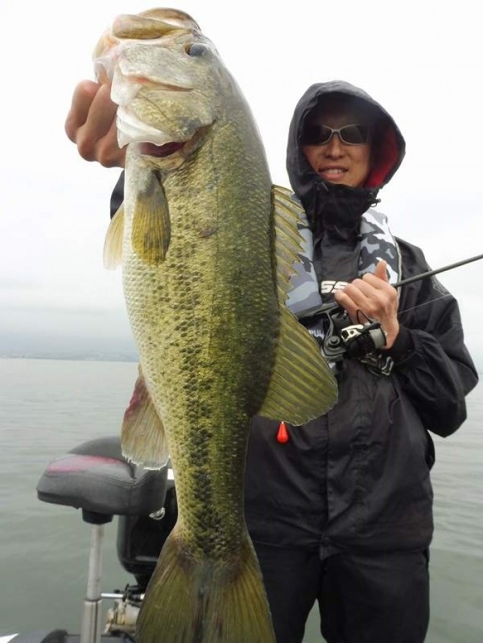 truth  ブログ写真 2017/06/07