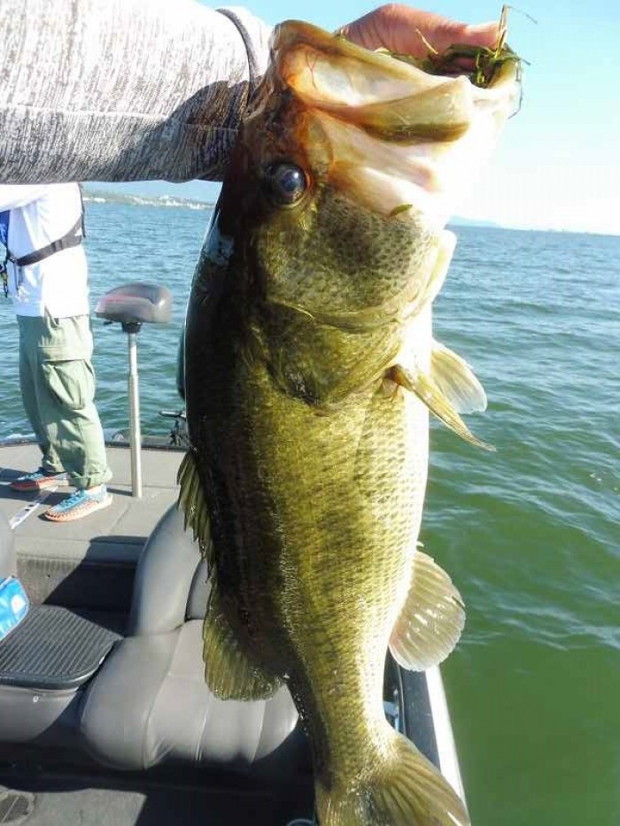 truth  ブログ写真 2017/09/01