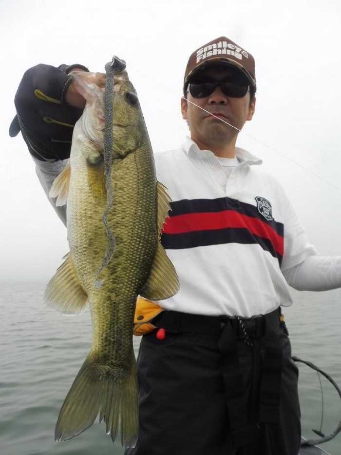 truth  ブログ写真 2017/09/07