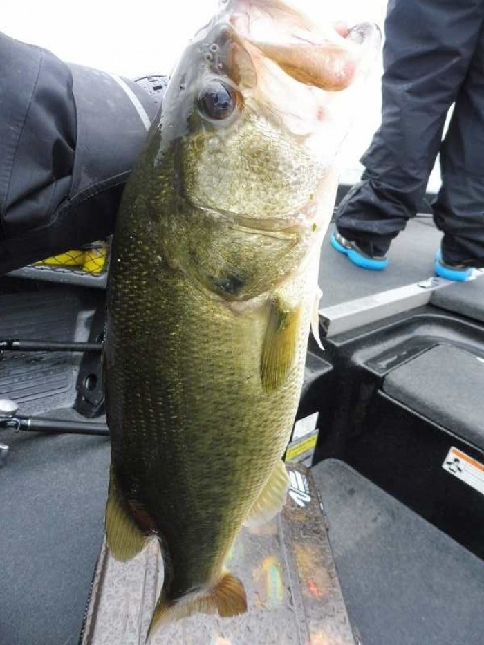 truth  ブログ写真 2017/09/16