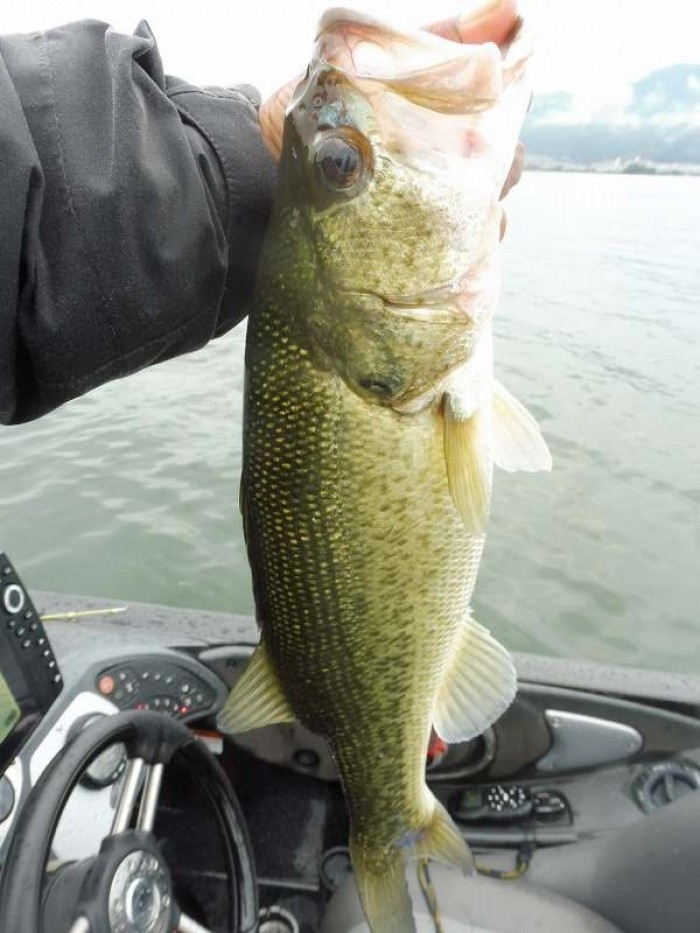 truth  ブログ写真 2017/10/17