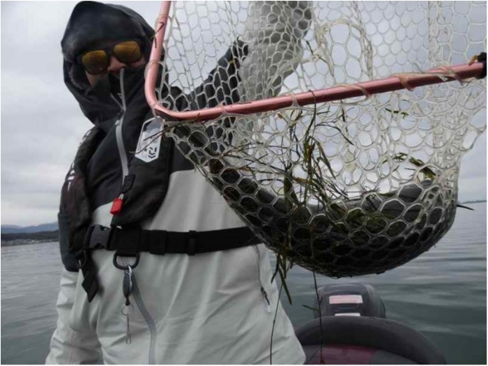 truth  ブログ写真 2018/01/01