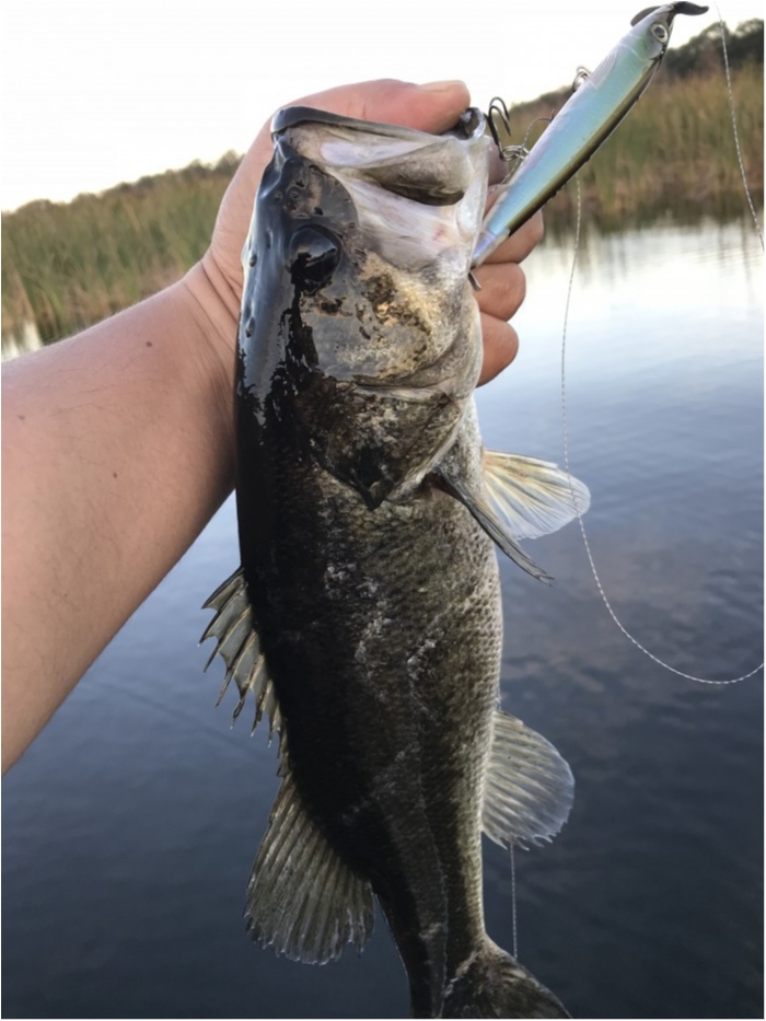 truth ブログ写真 2018/02/07