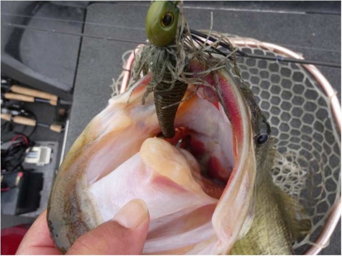 truth  ブログ写真 2018/03/03