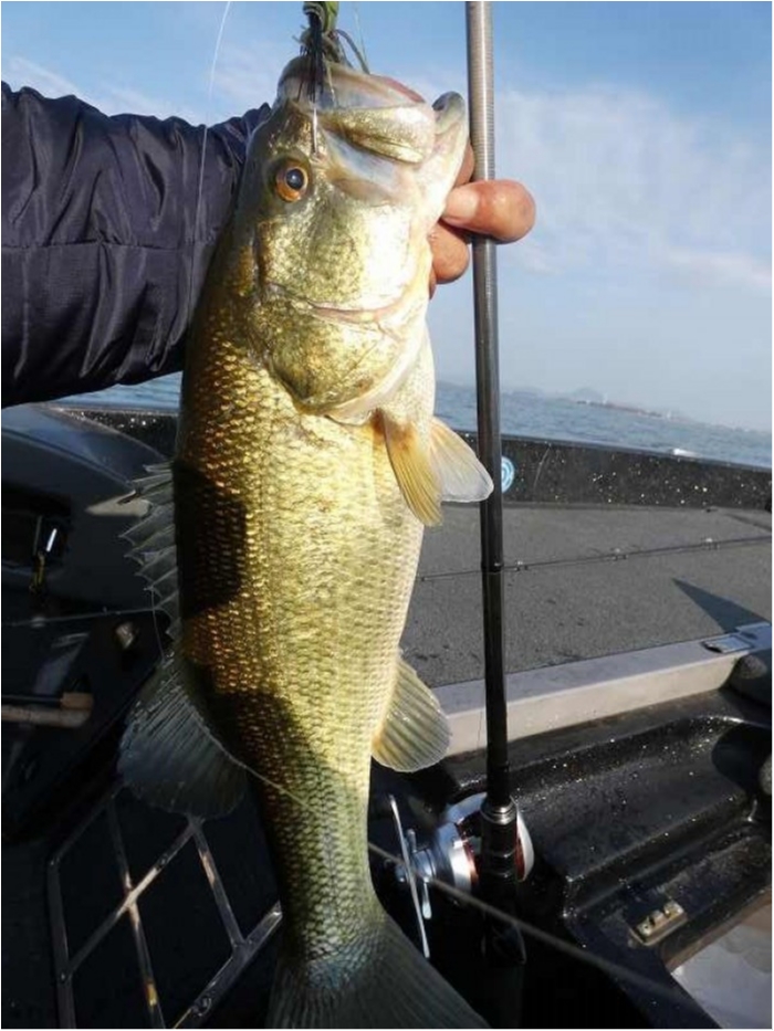 truth  ブログ写真 2018/03/04