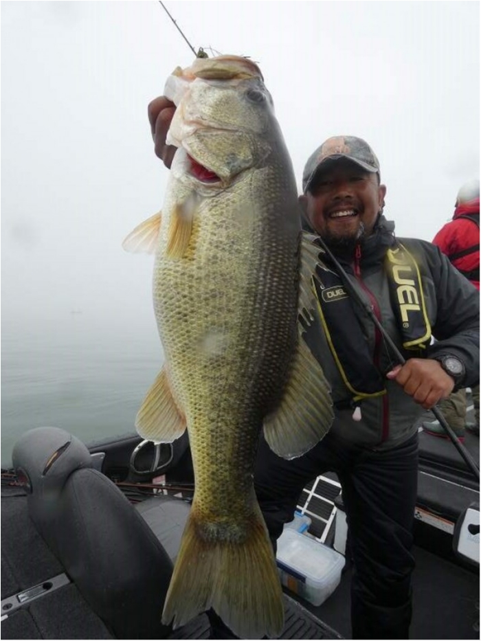 truth  ブログ写真 2018/03/05