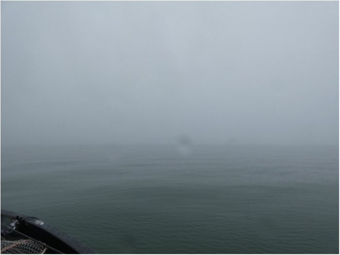 truth  ブログ写真 2018/03/05