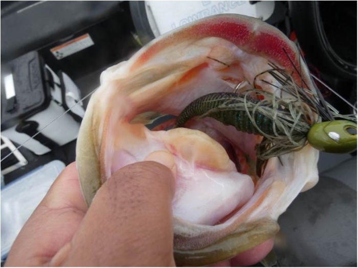 truth  ブログ写真 2018/03/05