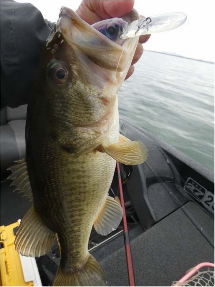 truth  ブログ写真 2018/03/08