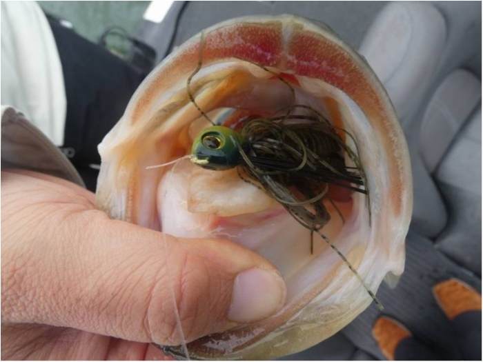 truth  ブログ写真 2018/03/08