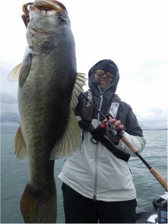 truth  ブログ写真 2018/03/08