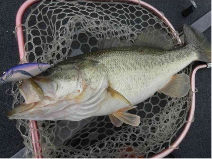 truth  ブログ写真 2018/03/08